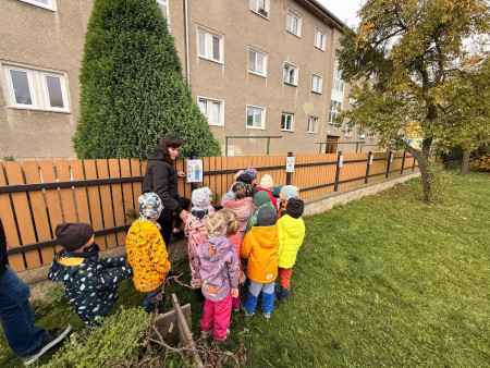 Společný den radosti