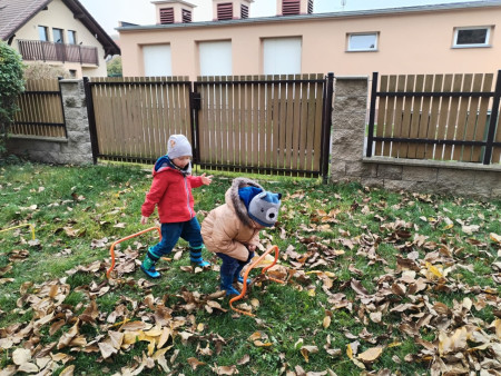 Společný den radosti