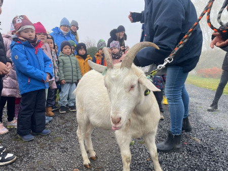 Viděly jsme spoustu zvířat
