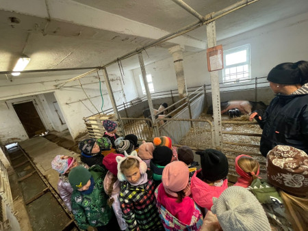 Viděly jsme spoustu zvířat