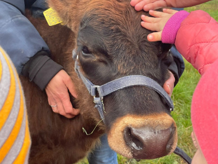 Viděly jsme spoustu zvířat