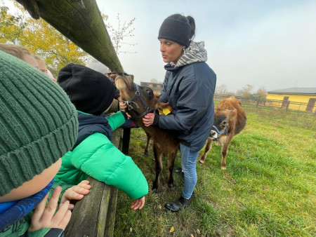 Viděly jsme spoustu zvířat