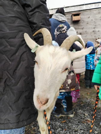 Viděly jsme spoustu zvířat