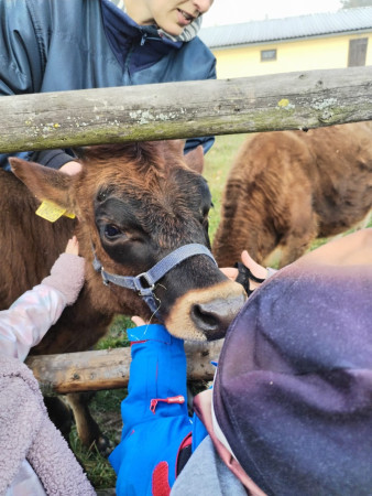 Viděly jsme spoustu zvířat