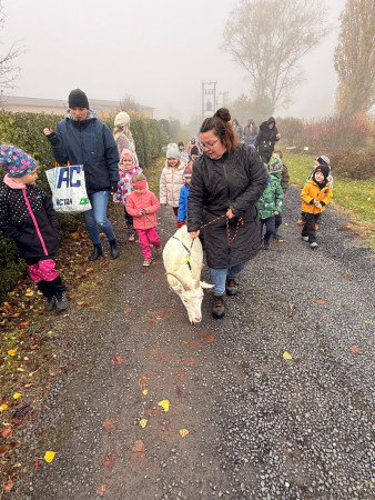 Viděly jsme spoustu zvířat