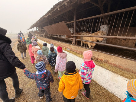 Viděly jsme spoustu zvířat
