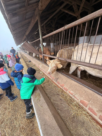 Viděly jsme spoustu zvířat