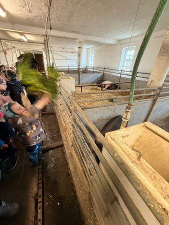 Viděly jsme spoustu zvířat