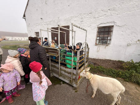 Viděly jsme spoustu zvířat