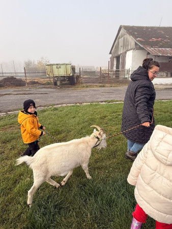 Viděly jsme spoustu zvířat