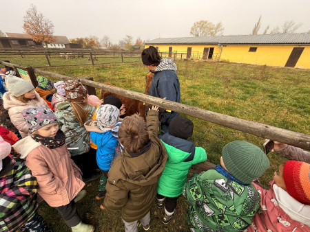 Viděly jsme spoustu zvířat