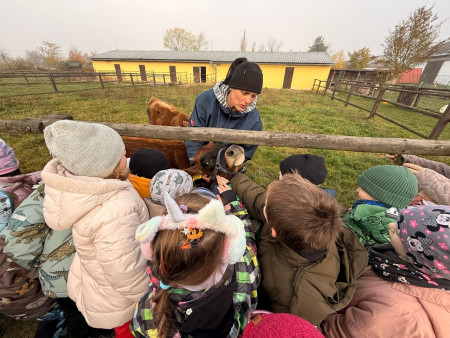 Viděly jsme spoustu zvířat