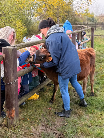 Viděly jsme spoustu zvířat