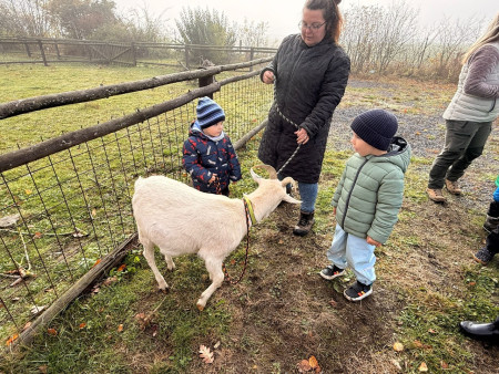 Viděly jsme spoustu zvířat
