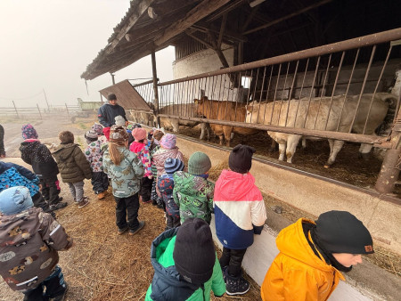 Viděly jsme spoustu zvířat