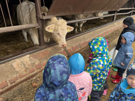 Viděly jsme spoustu zvířat