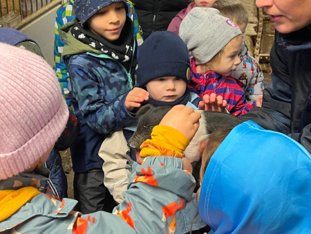 Viděly jsme spoustu zvířat