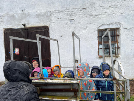 Viděly jsme spoustu zvířat