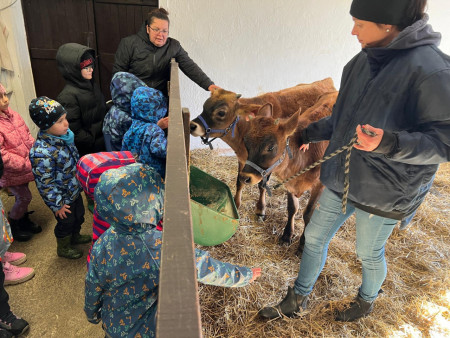 Viděly jsme spoustu zvířat