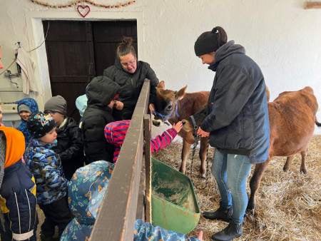 Viděly jsme spoustu zvířat