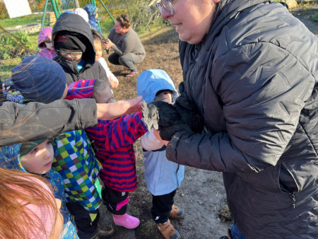 Viděly jsme spoustu zvířat