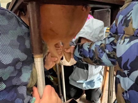 Viděly jsme spoustu zvířat