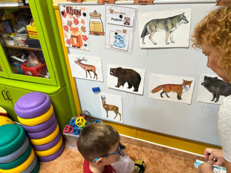 Poznáváme lesní zvířata