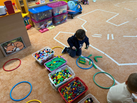 Poznáváme lesní zvířata