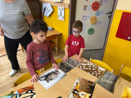 Poznáváme lesní zvířata