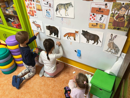 Poznáváme lesní zvířata