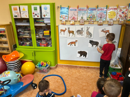 Poznáváme lesní zvířata