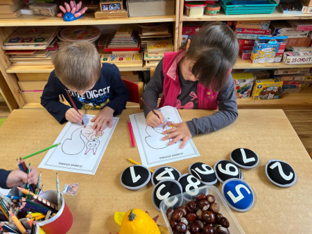 Poznáváme lesní zvířata