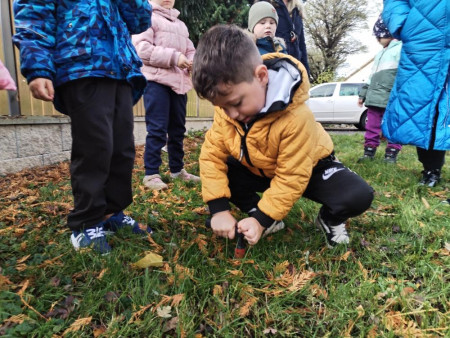 Společné sázení darovaných krokusů od našeho města :-).