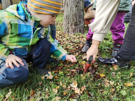 Společné sázení darovaných krokusů od našeho města :-).