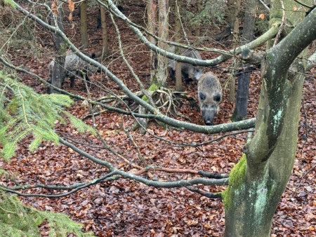 Pěkně jsme se prošli