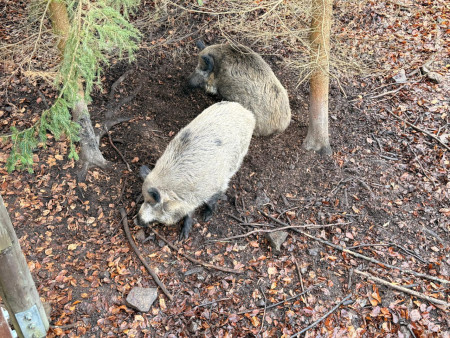 Pěkně jsme se prošli