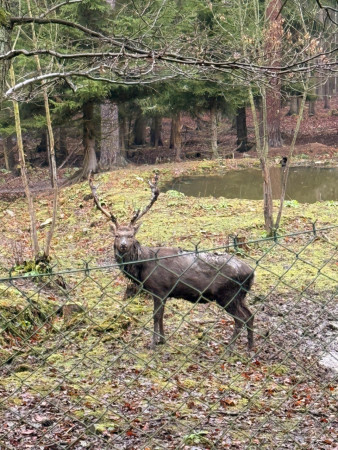 Pěkně jsme se prošli