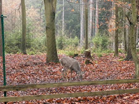 Pěkně jsme se prošli