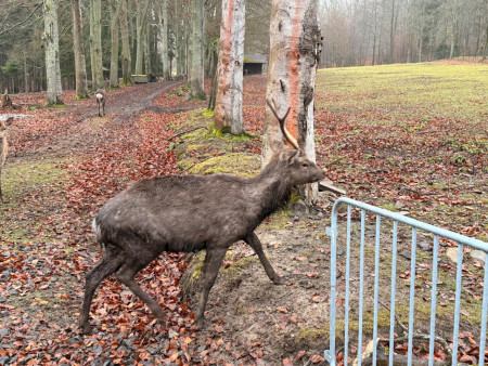 Pěkně jsme se prošli