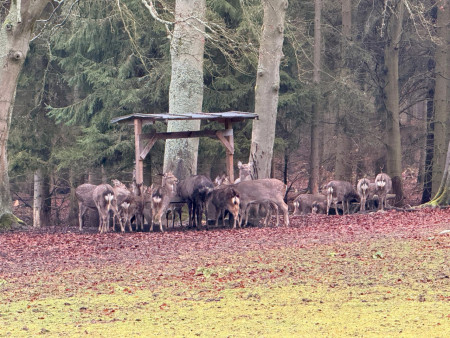 Pěkně jsme se prošli