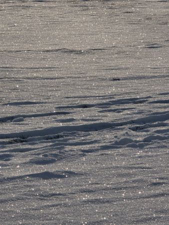 Užíváme si sněhu