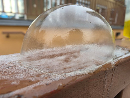 Společný den radosti