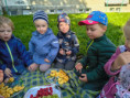 /album/sebik-slavi-narozeniny/img-20250610-wa0031-jpg/